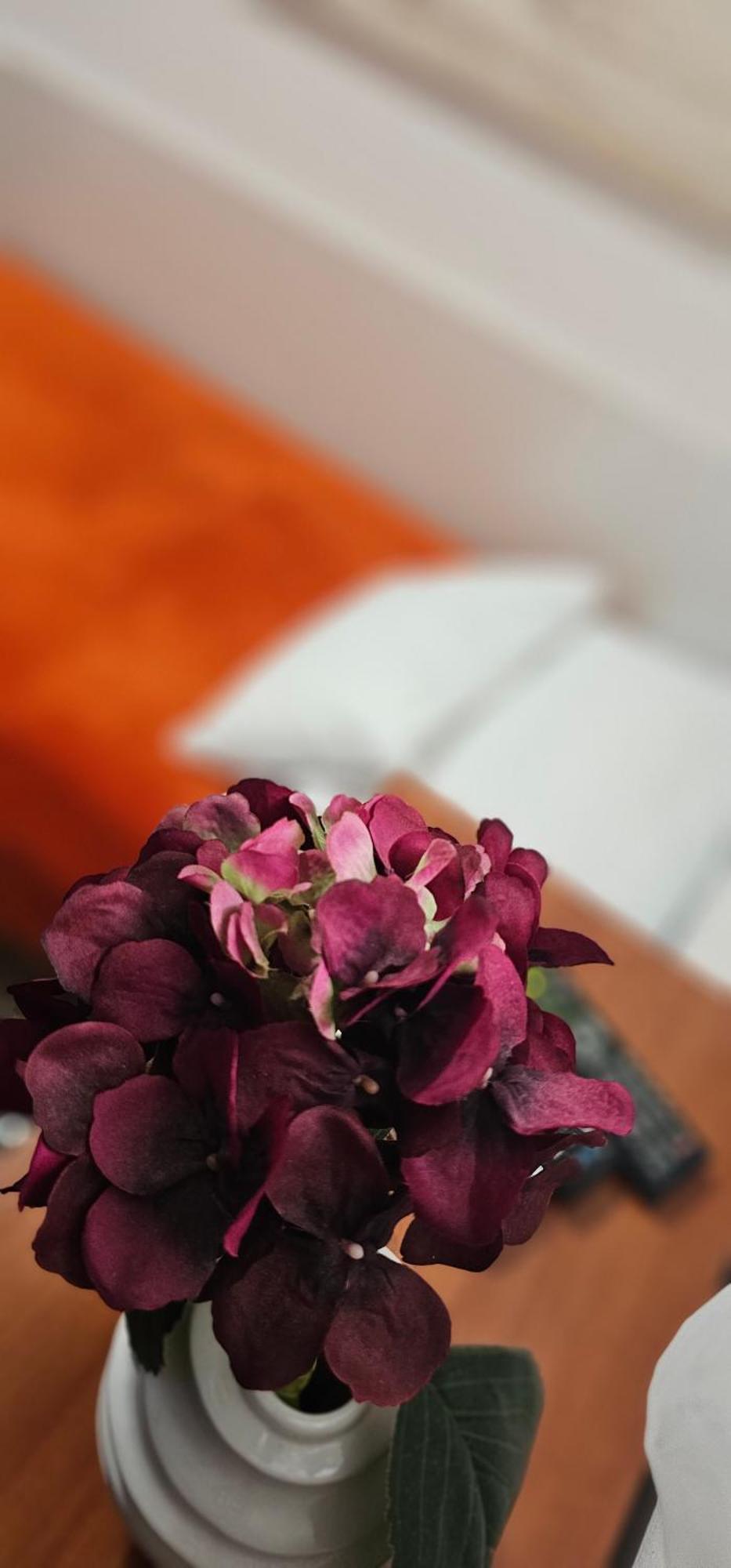 Sobe/Rooms Riva Задар Екстериор снимка